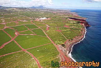 Kauai Aerial View