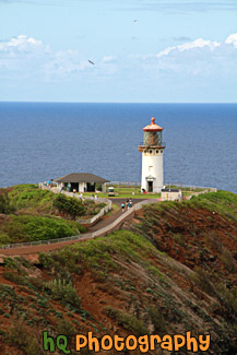 large version