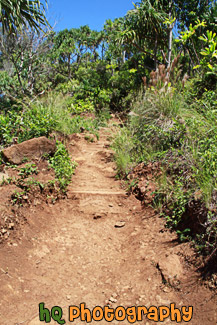 On the Kalalau Trail