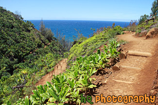 Kalalau Trail on Na Pali Coast