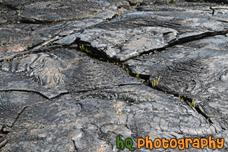 Lava Field Close Up