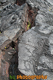 Cracked Lava Field