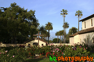 Beautiful Palms of Santa Clara University