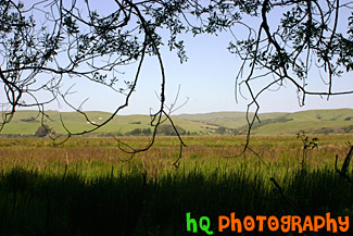 Point Reyes Landscape Scene