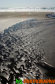 Kehoe Beach Sand & Waves