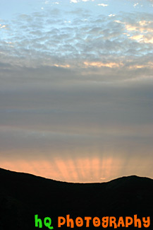 San Francisco Sunset