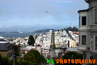 Downtown Scenic San Francisco