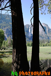 Yosemite Falls & Reflection Through Trees