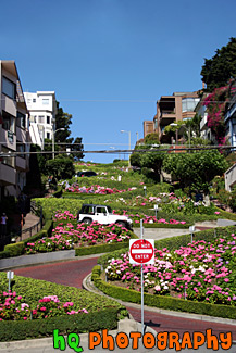 Lombard Street, San Francisco