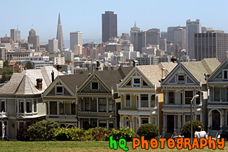 Alamo Square & San Francisco City View