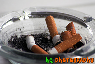 Cigarettes in Ashtray