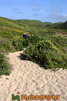 Hiking at Kehoe Beach, California