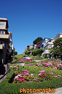 San Francisco's Lombard Street