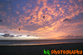 Seaside, Oregon Sunset & Birds