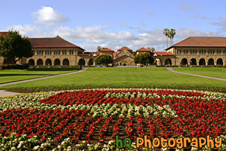 Stanford Oval & Memorial Court