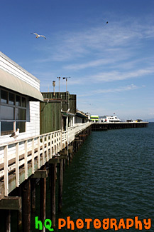 Santa Cruz Pier