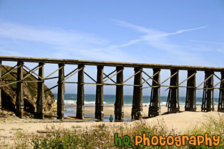 Coastal Fort Bragg, California