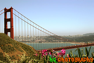 Golden Gate Bridge & Flowers