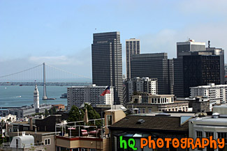 Downtown San Francisco from Telegraph Hill