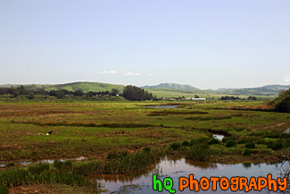 Point Reyes, Marin County