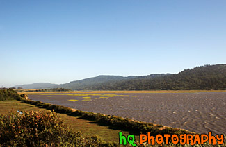 Tomales Bay, California