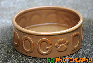 Dog Dish Bowl