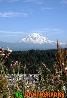 Mt. Rainier from Bonney Lake