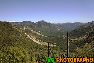 Gifford Pinchot National Forest