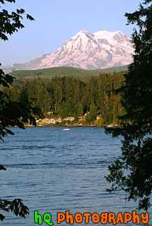 Mt. Rainier Through Trees & Lake