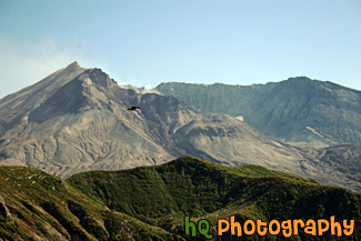 Mount St. Helens & Bird