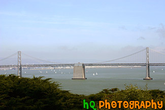 Bay Bridge from Coit Tower