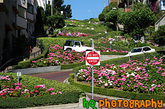 Lombard Street