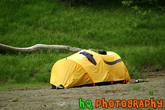 Yellow Tent