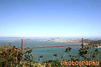 Golden Gate Bridge from Hawk Hill