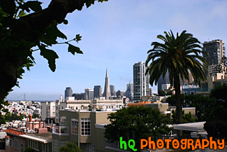 Scenic Downtown San Francisco