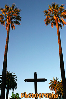 Cross & Two Tall Palm Trees