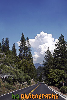 Road in Yosemite National Park