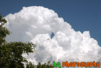 Big White Puffy Cloud