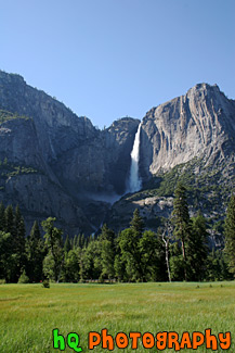 Yosemite Falls & Grass Field