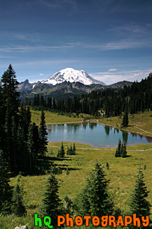 Mount Rainier at Tipsoo Lake