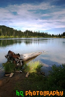 Log & Reflection Lake