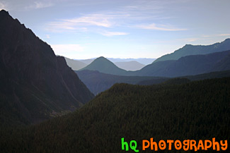 Hills of Mount Rainier National Park