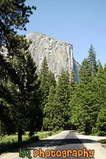 El Capitan & Forest Road