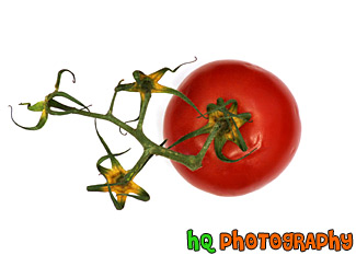 Red Tomatoe