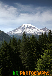 Mount Rainier Behind Evergreen Trees