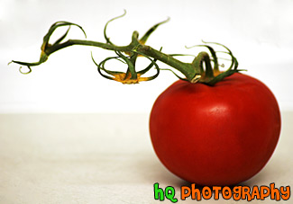 Side View of Tomatoe