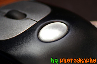 Black Computer Mouse