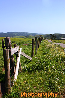 Country Fence & Road