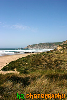 Kehoe Beach, Grass & Ocean