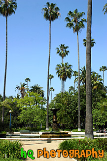 Palms of Rogers Memorial Park